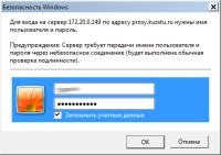 Пример выводимого сообщения на сохранение пароля